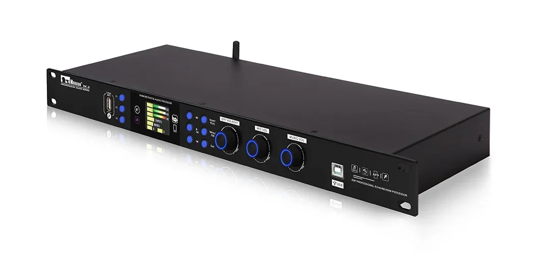 Best DSP Audio Processor Studi - Audio Music Best 评论和价格