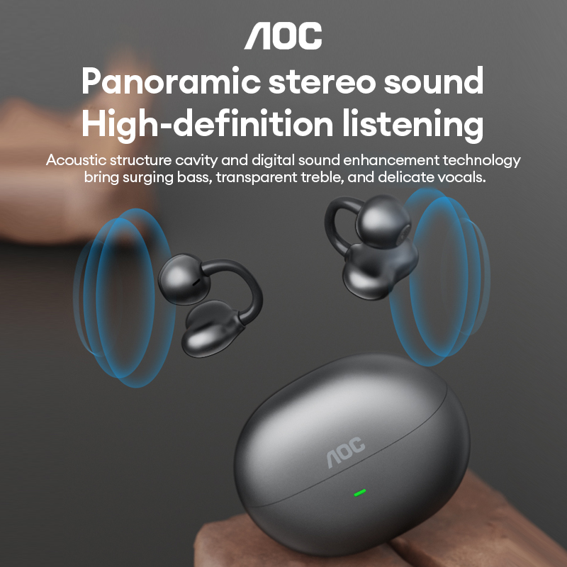 AOC ACD2544 Wireless Bluetooth - Audio To Music 评论和价格