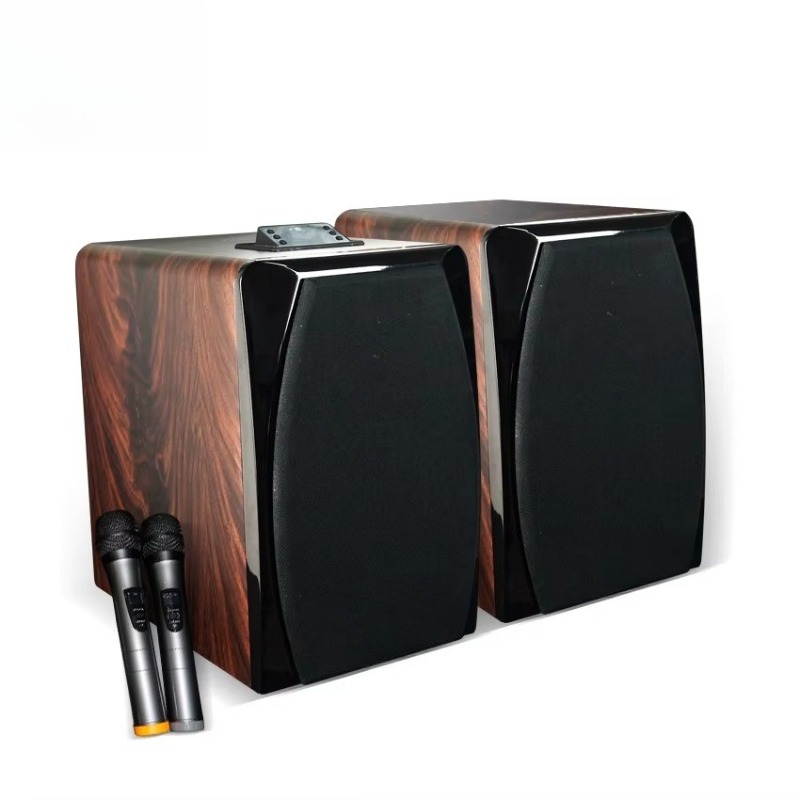 High Performance Active Karaok - Audio Music Sound 评论和价格